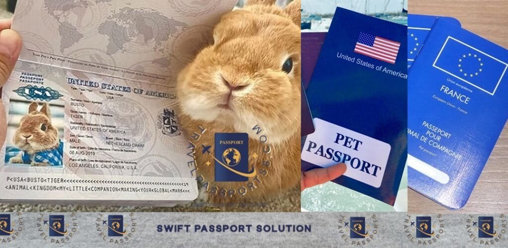 Buy American pet passport online How to get a USA pet passport Pet passport for US travel Order pet passport for international travel USA Buy US pet travel documents Pet passport for traveling from USA to Europe American pet passport purchase Where to buy American pet passport Pet travel certificate from the USA Cost of American pet passport Buy pet passport USA Order pet travel documents in New York Pet passport vet near me Buy American pet passport in New York Pet passport service Los Angeles USA Get dog passport in Florida USA Order pet passport California How to buy American pet passport in Texas United Kingdom (Related to American Passport): Get US pet passport in London How to get American dog passport in UK American pet passport for EU travel from UK Buy US pet travel documents in London Pet passport for traveling from UK to USA