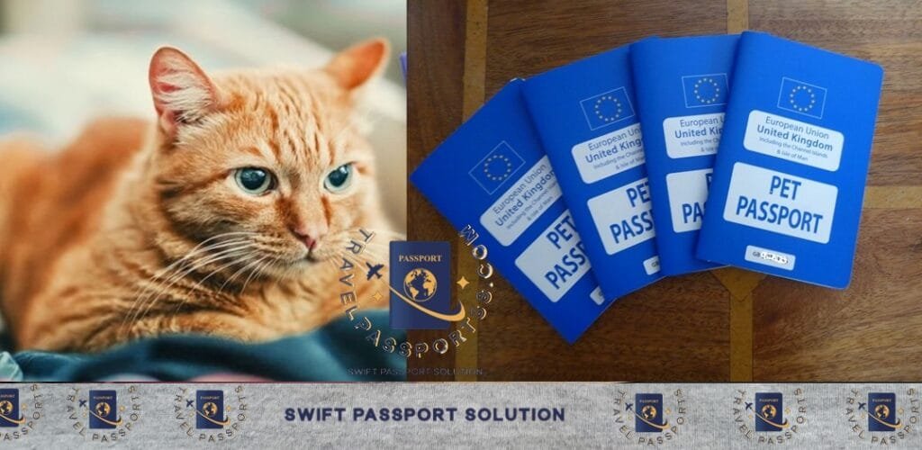 Buy pet passport online Get international pet passport Pet passport purchase Where to buy a pet passport Pet passport for travel Cost of pet passport Order pet passport online Pet passport for EU travel Obtain pet travel documents Pet passport service near me Buy pet passport online Get international pet passport Pet passport purchase Where to buy a pet passport Pet passport for travel Cost of pet passport Order pet passport online Pet passport for EU travel Obtain pet travel documents Pet passport service near me apply for pet passport how much is a pet passport international pet passport pet passport application pet passport for international travel cat pet passport dog pet passport where to get a pet passport how to get a pet passport how to get a pet passport for a dog how do i get a pet passport where can i get a pet passport where do i get a pet passport how to get an eu pet passport
