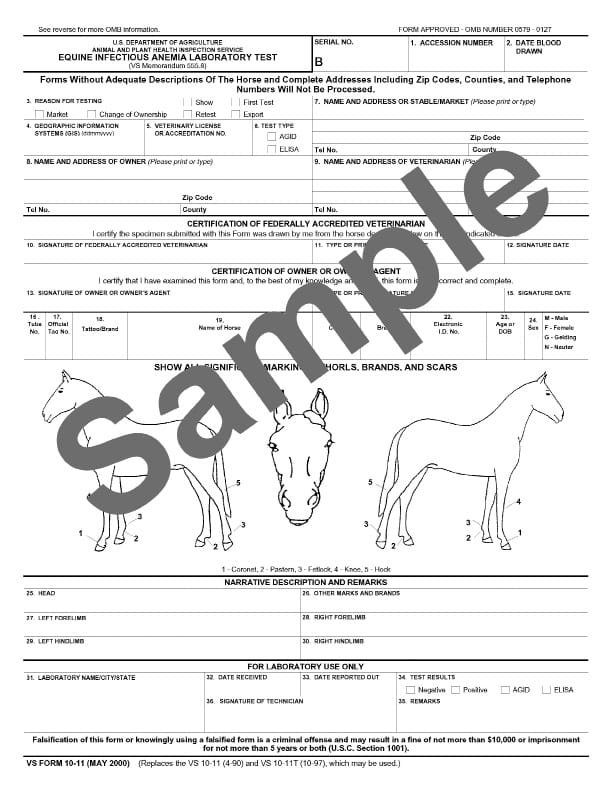 Pet Health Certificate for International Travel Near me